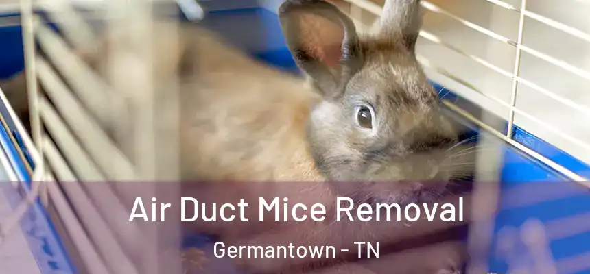 Air Duct Mice Removal Germantown - TN