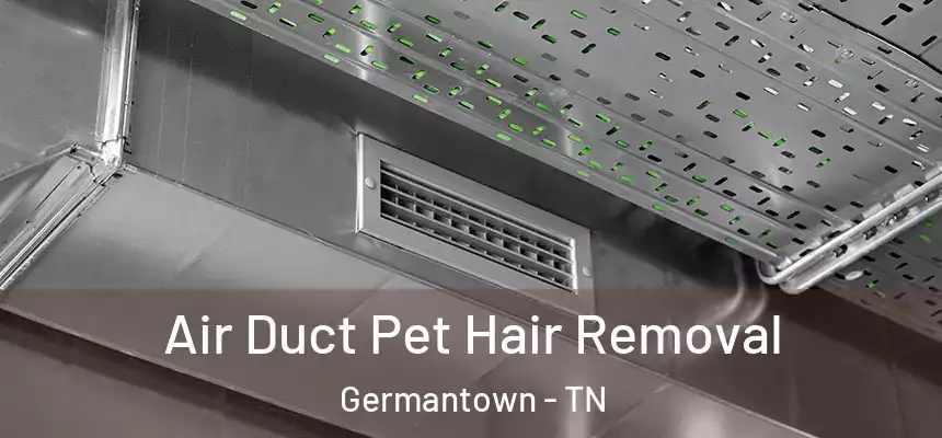  Air Duct Pet Hair Removal Germantown - TN