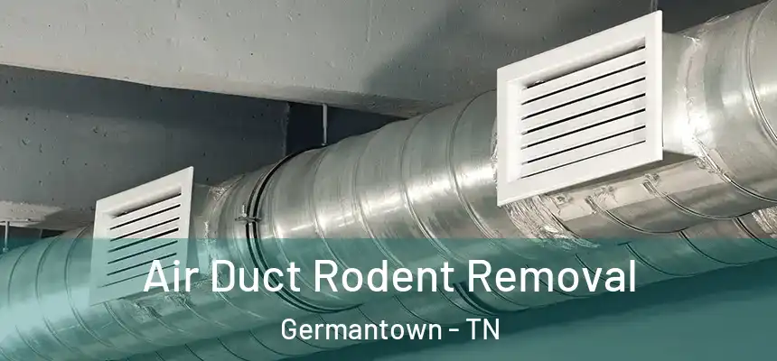  Air Duct Rodent Removal Germantown - TN