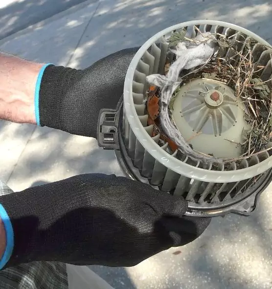 About Air Duct Rat Removal in Germantown, TN