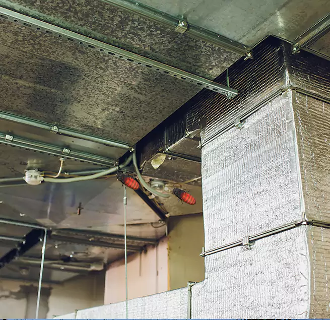 Why Homeowners & Businesses Trust Us in Germantown, TN?