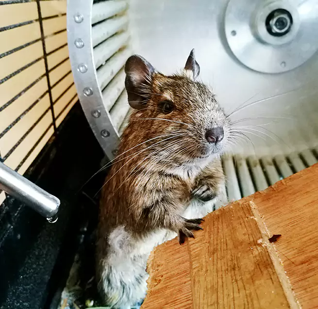 Why Homeowners & Businesses Trust Us Germantown, TN